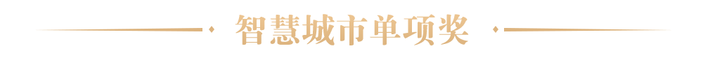 智慧城市單項(xiàng)獎(jiǎng)